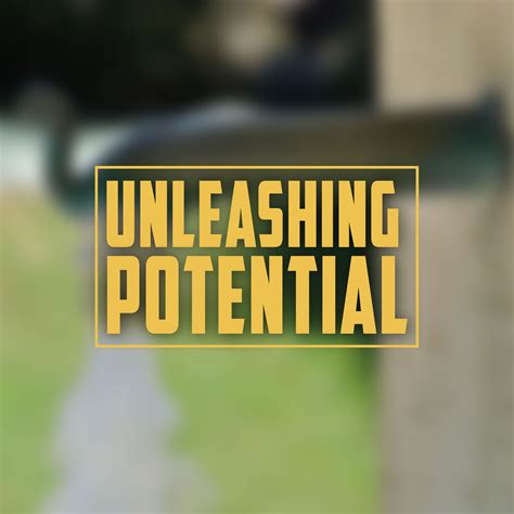Unleashing Potential