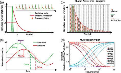 Fluorescence Lifetime Imaging Microscopy Fundamentals And Advances In Instrumentation Analysis