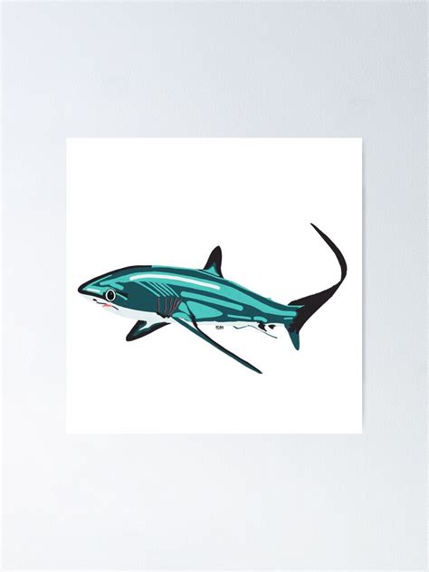 "Big eye thresher shark" Poster for Sale by mmustelus | Redbubble