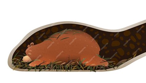 Premium Vector Bear Sleeping In Its Den Or Burrow Underground