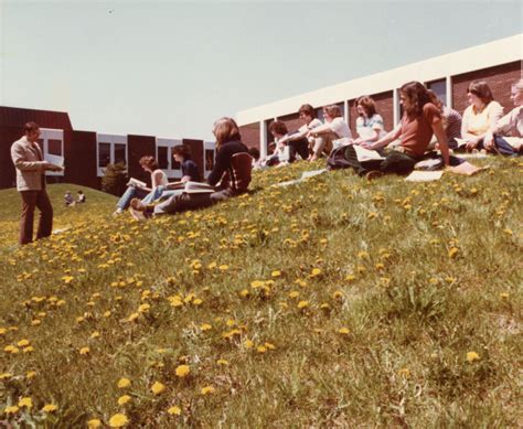 niagara county obits archives are a vital tool for local historians 19