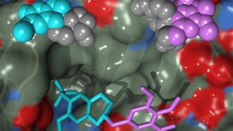 drug discovery  therapeutics