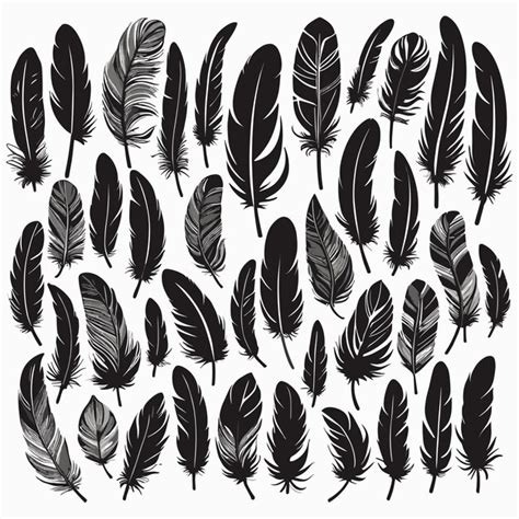 Premium Vector Feather Silhouette Set Illustration Vector Collection