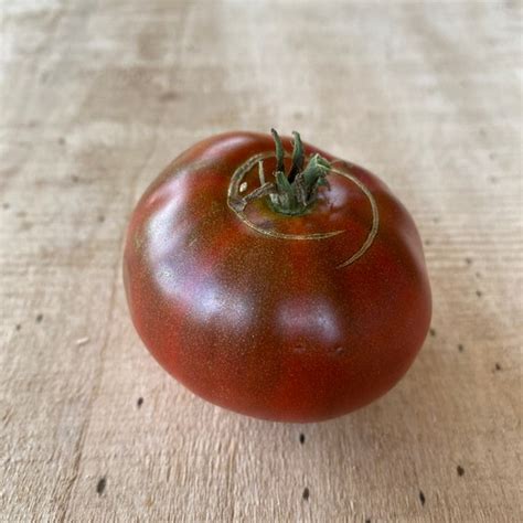 Tasmanian Chocolate Tomato Seeds Tasmanian Heirloom Tomato Etsy