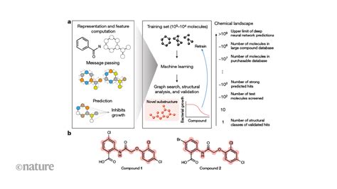 Explainable Ai Identifies A New Class Of Antibiotics