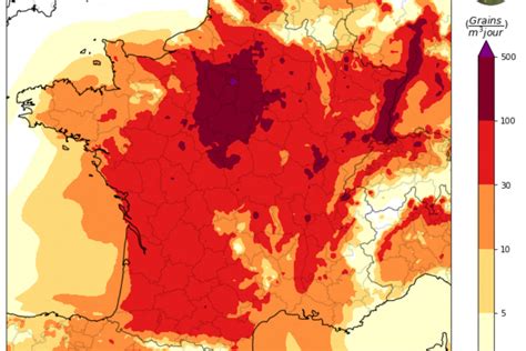 Décrypter 55 imagen carte des pollens 2023 fr thptnganamst edu vn