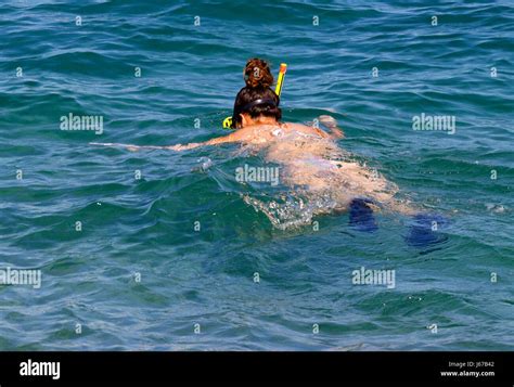 Unterwasser Bikini Mädchen Taucher Stockfotos und bilder Kaufen Alamy