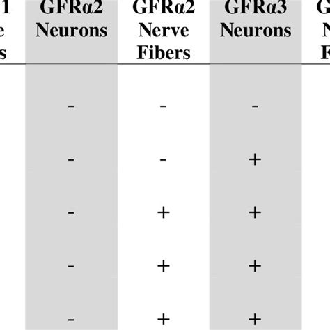 Quantification Of Nucleus Ambiguus Motoneurons Within The Adult