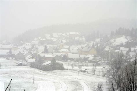 Proljetni Snijeg Zabijelio Delnice I Zabrinuo Poljoprivrednike Novi List