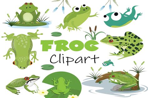 Watercolor Frog Clipart | Creative Market