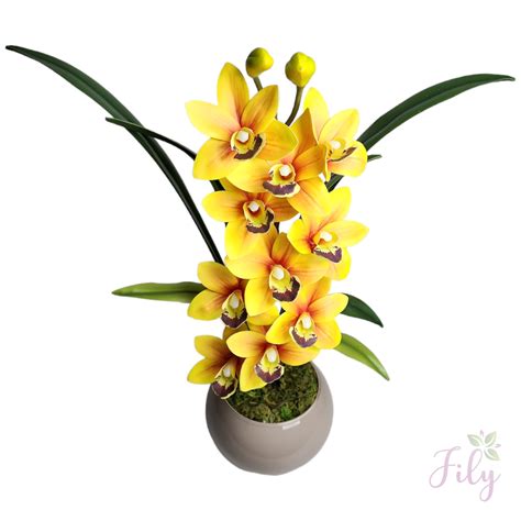 Arranjo de Orquídea Cymbidium Amarela Vaso vidro nude Fily Flores