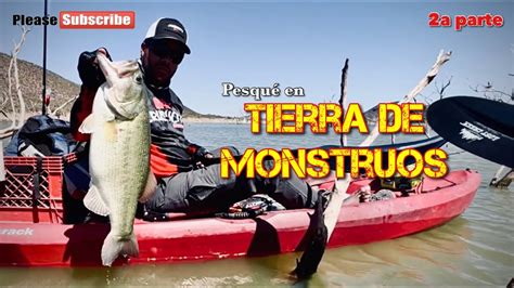 C Mo Pescar Lobinas En Los Palos Increible Fue Mi Mejor D A De Pesca