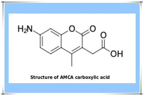 Amca Carboxylic Acidamca Csdn