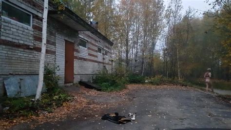 Promenade Nue Dans La Rue En Public Gay Porn 42 XHamster