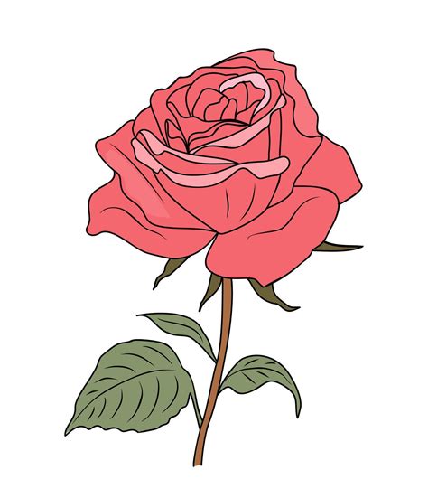 june birth month flower 1