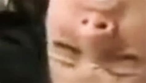 Free Latinas Sex Porn Videos 34 XHamster