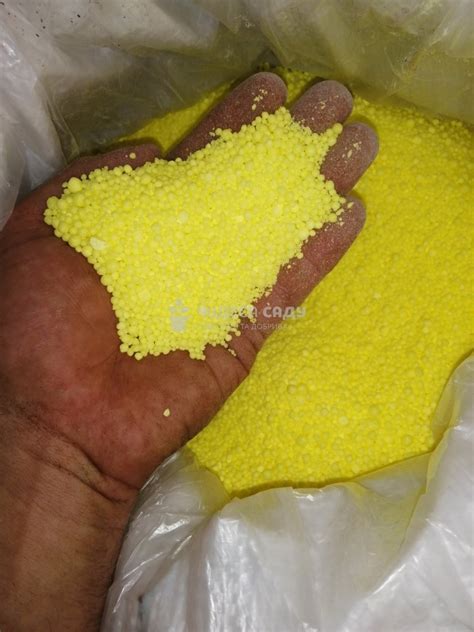 Сера для голубики 1 кг. | Чудеса Саду — Саженцы и удобрения