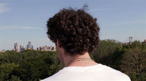 My Big Gay Jewish Hair Them