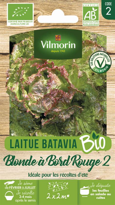 Graine potagère laitue blonde à bord rouge bio VILMORIN Jardiland