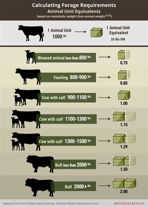 Grazing Management - BeefResearch.ca