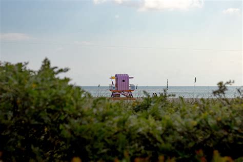 Finding Therapist in Miami I Miami Therapist I Couples Counseling Miami