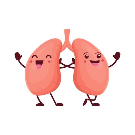 Premium Vector Cartoon Lungs Cute Human Body Organ Character