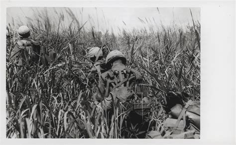 Snafu 3rd Mardiv In Operation Dawson River Vietnam Via Marine Corps Archives And Special