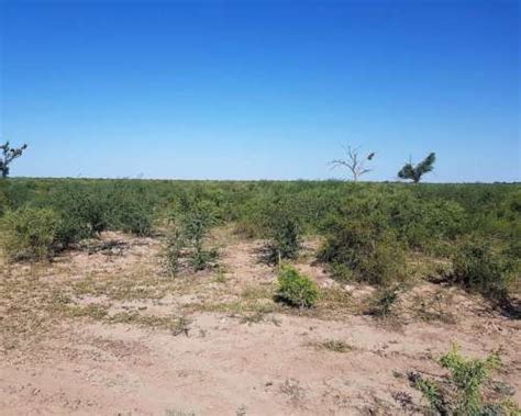 Fernandez Robles Santiago Del Estero Argentina Agroads