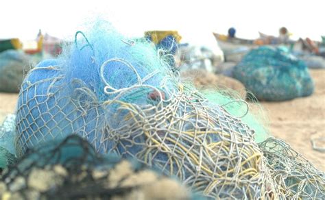 Київський рибоохоронний патруль вилучив понад 300 метрів забороненої ...