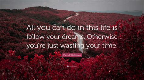 David Walliams Quote: “All you can do in this life is follow your