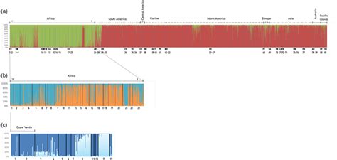 Global Genetic Structure Of Aedes Aegypti Structure Bar Plots