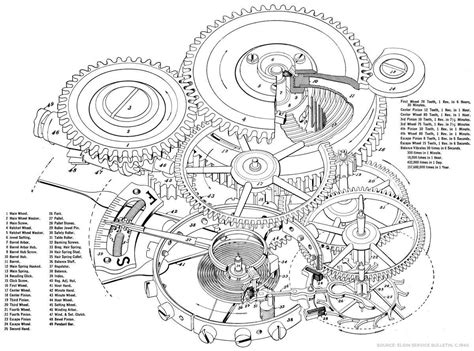 movement parts diagram breakdown