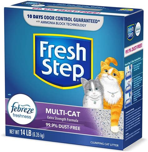 Best Cat Litter Brands: The Top 15 List - ListsForAll.com