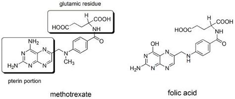 Structure of methotrexate. The molecular structure of methotrexate and ...