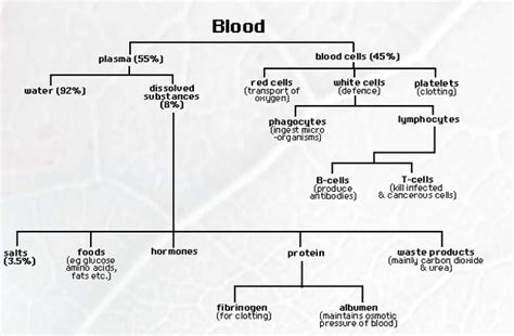 Blood Composition And Plasma Biology Notes For Igcse 2014