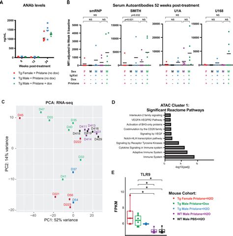 Xist Ribonucleoproteins Promote Female Sex Biased Autoimmunity Cell