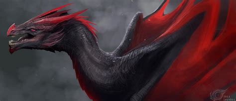 Dragon Drogon by IrenBee on DeviantArt