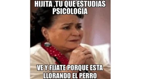 Los 10 Mejores Memes Para Celebrar El Día Del Psicólogo