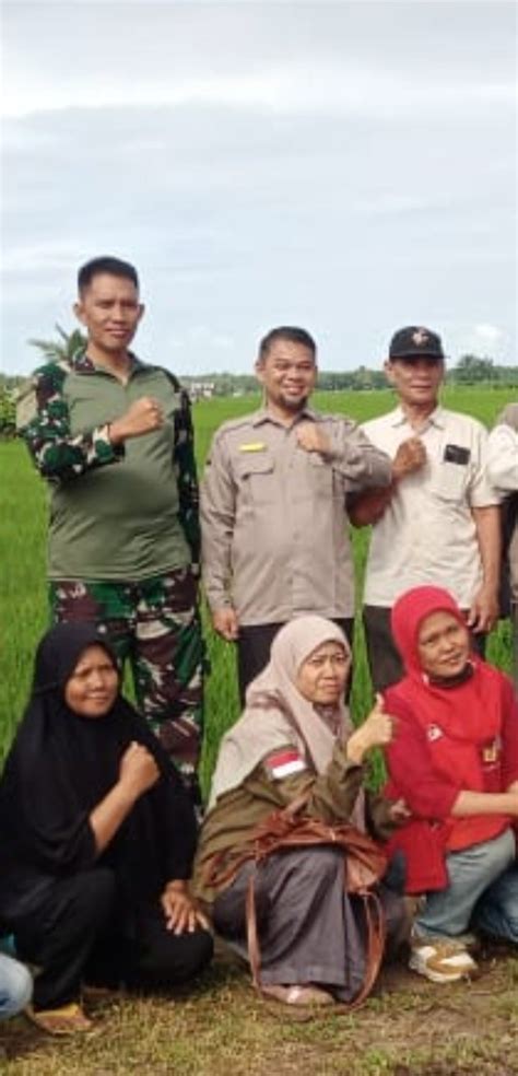 Alokasi Pupuk Subsidi Naik Pemprov Bengkulu Ucapkan Terima Kasih Pak