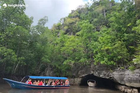 Langkawi Mangrove Tour Book Now And Pay Later Guided Tour