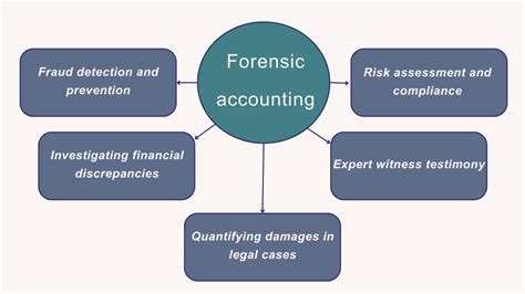 What Is Forensic Accounting What Do Forensic Accountants Do