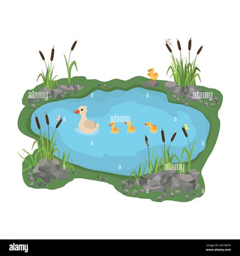 Illustration Of A Duck And Ducklings Mother Duck Swims In The Lake