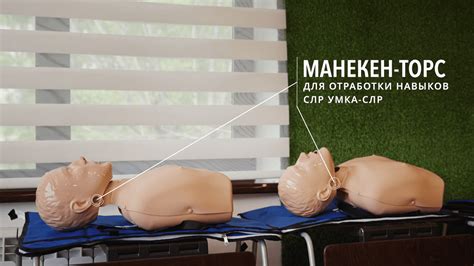 Обучение первой помощи - Учебный центр Запсибэнерго