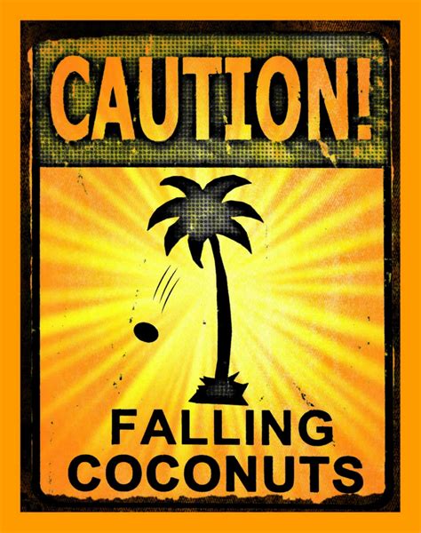 Caution Falling Coconuts Distressed All Weather 8x12 Metal