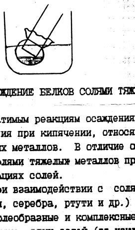 3. Диализ белка.