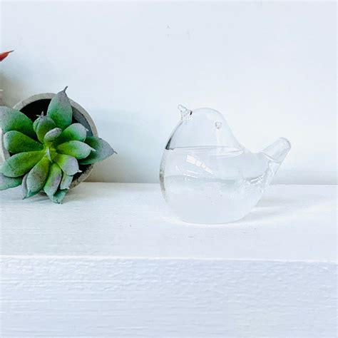 Tear Drop Storm Glass With Wood Base Luke Adams Glass Blowing Studio