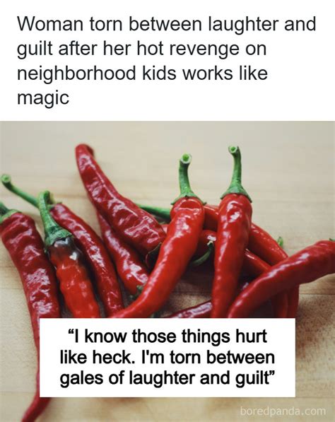 Bored Panda - Woman torn between laughter and guilt after... | Facebook