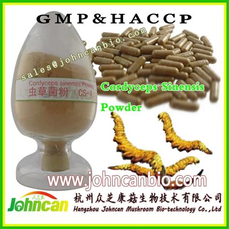 Cordyceps Sinensis Cs 4 Extract Powder 30 Polysaccharides 1 Adenosine Cs 4 Adenosine