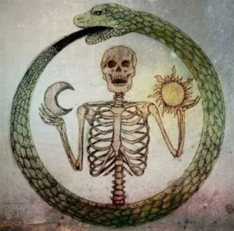 That S Odin Ouroboros Art Occult Art Ouroboros Tattoo