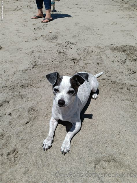 Sneakykirby Nude OnlyFans Leaks The Fappening Photo